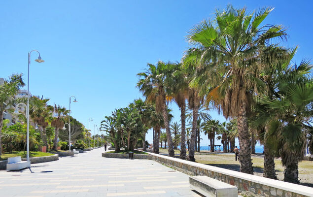 Villa Mimosa - Photo 24