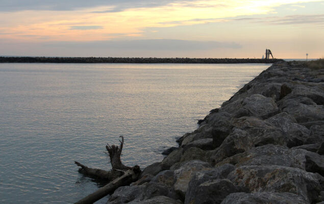 Les Terrasses de la Méditerranée - Photo 31