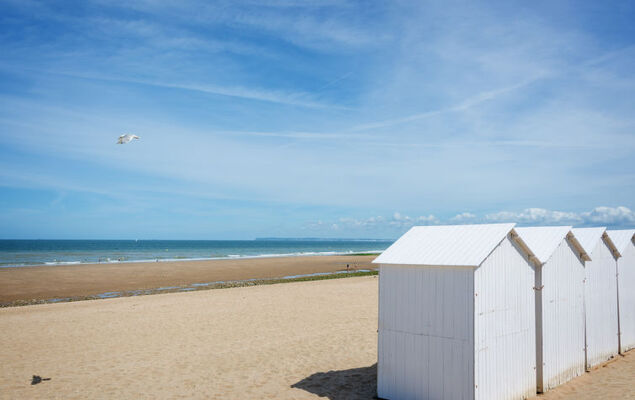 Les Marines - Photo 19