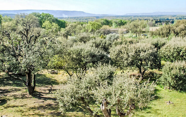 La Chênaie - Photo 32