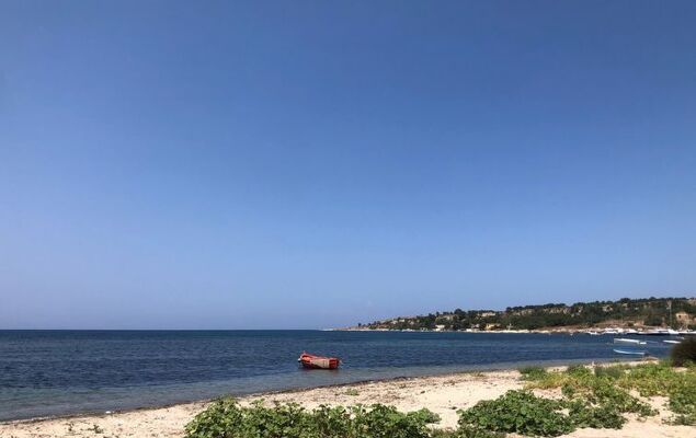 Zuccheri Canditi - Photo 40